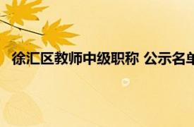 徐汇区教师中级职称 公示名单（肖枫 徐汇区中青年骨干教师）