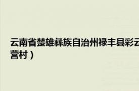 云南省楚雄彝族自治州禄丰县彩云镇（东营村 云南省楚雄禄丰县彩云镇东营村）