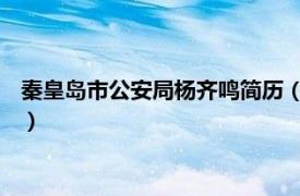 秦皇岛市公安局杨齐鸣简历（金振宇 秦皇岛市司法局法宣处科员）