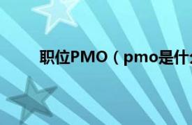 职位PMO（pmo是什么职位相关内容简介介绍）