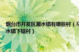 烟台市开发区潮水镇有哪些村（马家沟村 山东省烟台市经济技术开发区潮水镇下辖村）