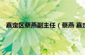 嘉定区蔡燕副主任（蔡燕 嘉定区经济委员会产业投资科科长）