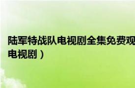 陆军特战队电视剧全集免费观看（陆军特战队 2007年韩刚执导的电视剧）