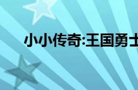 小小传奇:王国勇士 - TL Heroe技能点