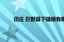 田庄 巨野县下辖镇有哪些（田庄 巨野县下辖镇）