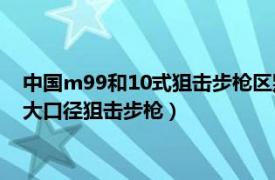 中国m99和10式狙击步枪区别（中国M99半自动狙击步枪 国产大口径狙击步枪）