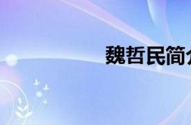 魏哲民简介（魏哲民）