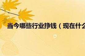 当今哪些行业挣钱（现在什么行业最挣钱相关内容简介介绍）