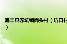 海丰县赤坑镇岗头村（坑口村 广东省汕尾市海丰县平东镇下辖村）