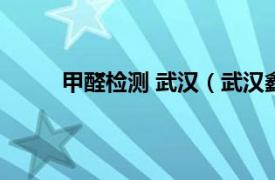 甲醛检测 武汉（武汉鑫绿野甲醛检测治理中心）