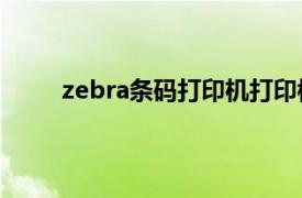 zebra条码打印机打印模糊（Zebra条码打印机）