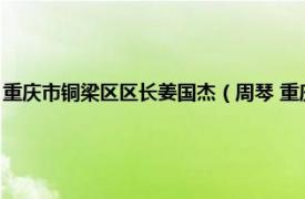 重庆市铜梁区区长姜国杰（周琴 重庆市铜梁区经济和信息化委员会副主任）