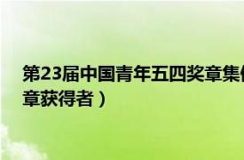 第23届中国青年五四奖章集体（陈春林 第20届中国青年五四奖章获得者）