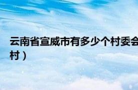 云南省宣威市有多少个村委会（牌坊村 云南省宣威市羊场镇牌坊村）