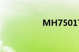 MH7501T手动液压源