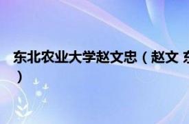 东北农业大学赵文忠（赵文 东北大学资源与土木工程学院副院长）