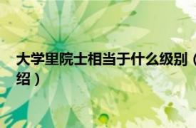 大学里院士相当于什么级别（院士的级别是什么相关内容简介介绍）