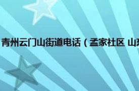 青州云门山街道电话（孟家社区 山东省潍坊市青州市云门山街道下辖社区）