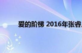 爱的阶梯 2016年张睿,张檬主演的电视剧是什么