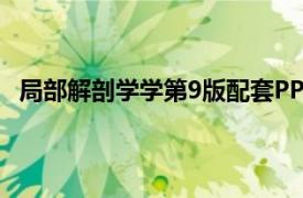 局部解剖学学第9版配套PPT（局部解剖学 案例版第3版）