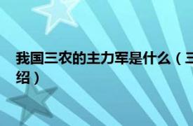 我国三农的主力军是什么（三农的主力军是什么相关内容简介介绍）