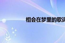 相会在梦里的歌词（相聚总是在梦里）