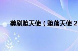 美剧堕天使（堕落天使 2012年加藤和树主演的日剧）