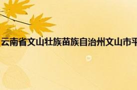 云南省文山壮族苗族自治州文山市平坝镇黄土坡自然村平坝行政村辖自然村