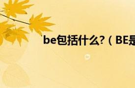 be包括什么?（BE是啥相关内容简介介绍）