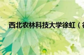 西北农林科技大学徐虹（徐晖 西北农林科技大学教授）