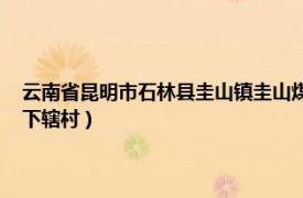 云南省昆明市石林县圭山镇圭山煤矿（茂山村 云南省昆明市石林县圭山镇下辖村）