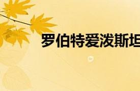 罗伯特爱泼斯坦（罗伯爱泼斯坦）