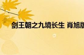 剑王朝之九境长生 肖旭版 电影（剑王朝之九境长生）