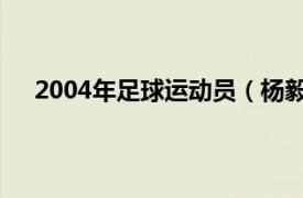 2004年足球运动员（杨毅 2002年生中国足球运动员）