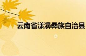 云南省漾濞彝族自治县（漾濞彝族自治县财政志）