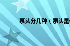 泵头分几种（泵头是什么相关内容简介介绍）