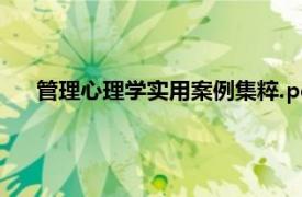 管理心理学实用案例集粹.pdf（管理心理学实用案例集粹）