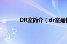 DR室简介（dr室是什么相关内容简介介绍）