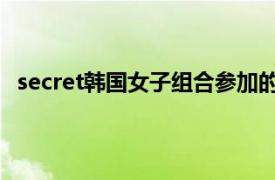 secret韩国女子组合参加的综艺（secret 韩国女子组合）