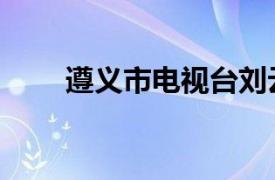 遵义市电视台刘云（遵义市电视台）