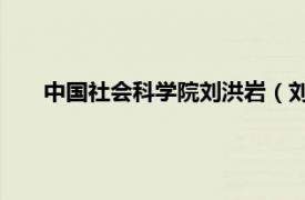 中国社会科学院刘洪岩（刘世龙 中国社会科学院研究员）