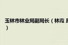 玉林市林业局副局长（林霞 原广西壮族自治区玉林市林业局局长）