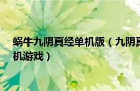 蜗牛九阴真经单机版（九阴真经 2015年蜗牛数字开发的武侠手机游戏）