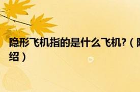 隐形飞机指的是什么飞机?（隐形飞机指的是什么相关内容简介介绍）