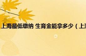 上海最低缴纳 生育金能拿多少（上海生育金最低领多少相关内容简介介绍）