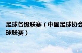 足球各级联赛（中国足球协会超级联赛 中国大陆地区最高级别足球联赛）