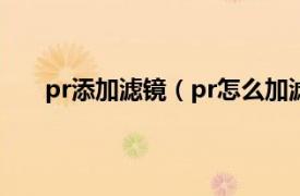 pr添加滤镜（pr怎么加滤镜特效相关内容简介介绍）