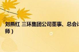 刘燕红 三环集团公司董事、总会计师（刘燕红 三环集团公司董事、总会计师）