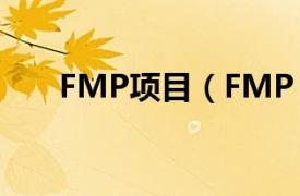 FMP项目（FMP 财务管理培训项目）