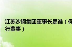 江苏沙钢集团董事长是谁（何春生 江苏沙钢集团有限公司常务执行董事）